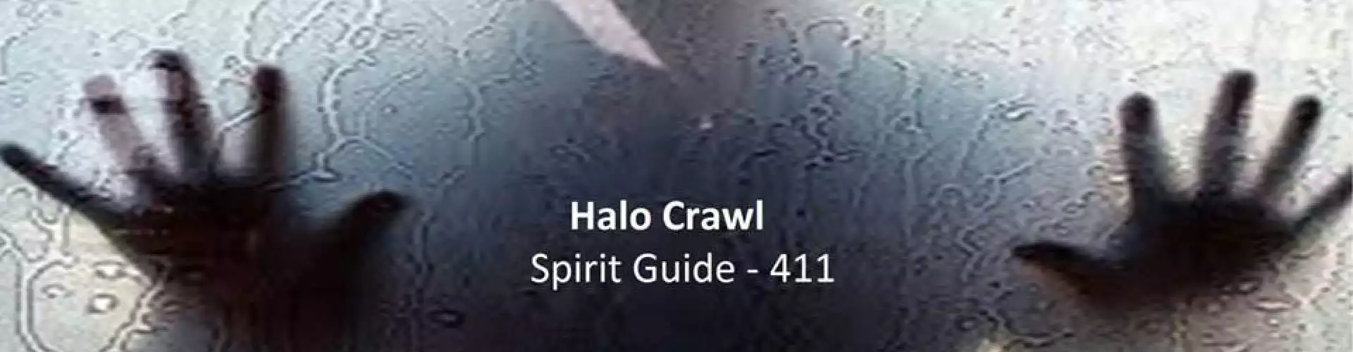 Halo Crawl - Spirit Guide 411 (Zenith School of Metaphysical Studies) - Online Class by Brian Anderson (Zenith School)