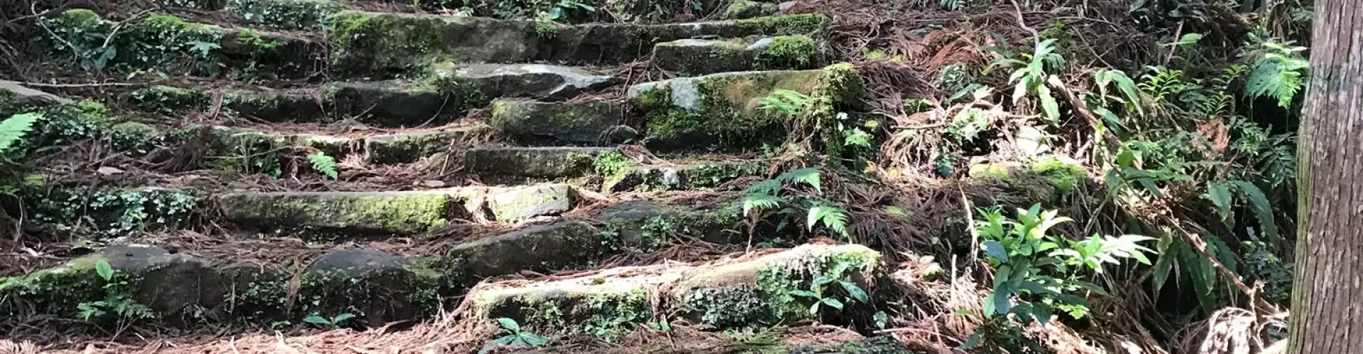 Core Breath Meditation - Online Class by Carrie Smith