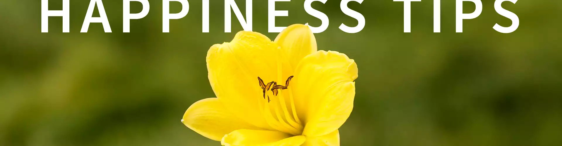 5 STEPS TO GREATER HAPPINESS  in Life + Business - Online Class by Paul  Garwood