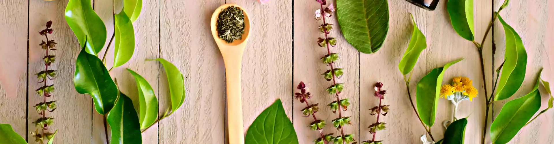 Ayurvedic Herbalism Basics - Online Class by Stephanie Brail