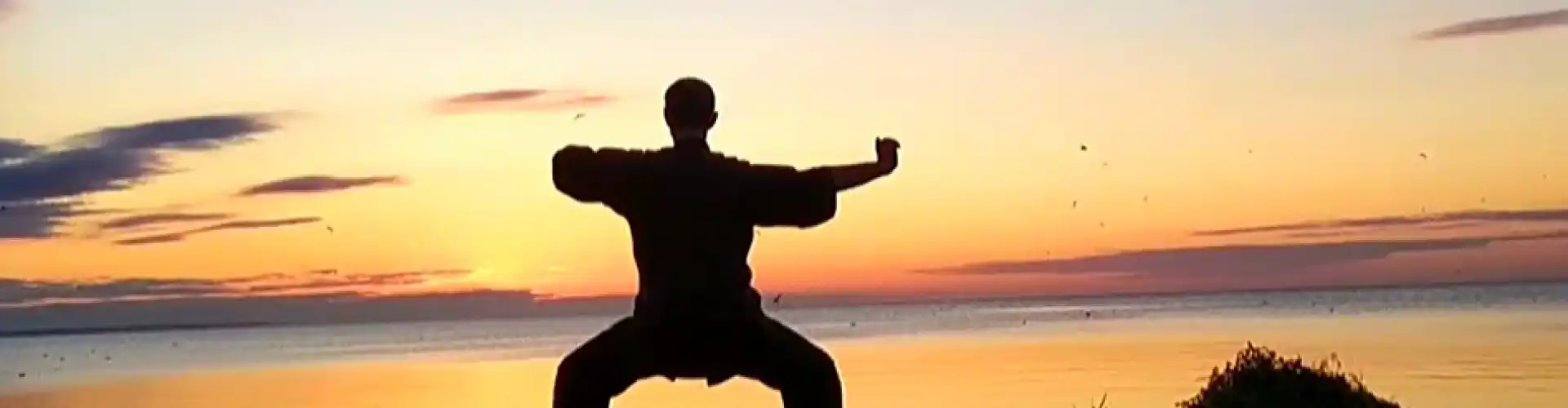 1 Stunde Qigong mit 8 Seidenbrokat - Online Class by Cassaundra Paolini